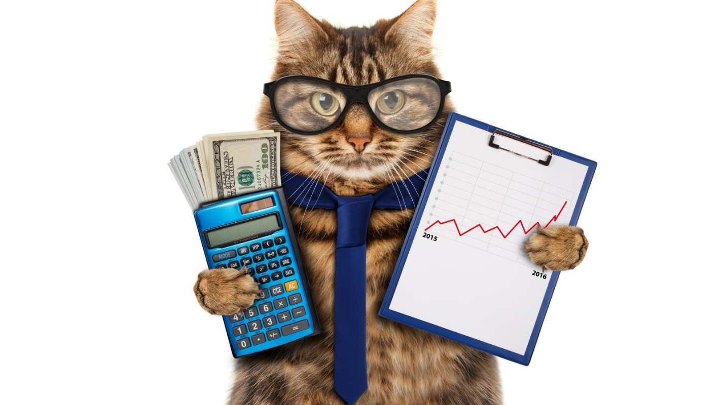 Открытка кот бухгалтер  с днем бухгалтера  happy accountant day 