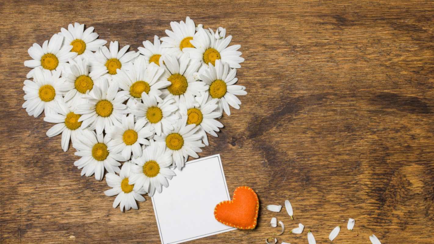 Открытка сердце из ромашек  с днем семьи   happy family day 