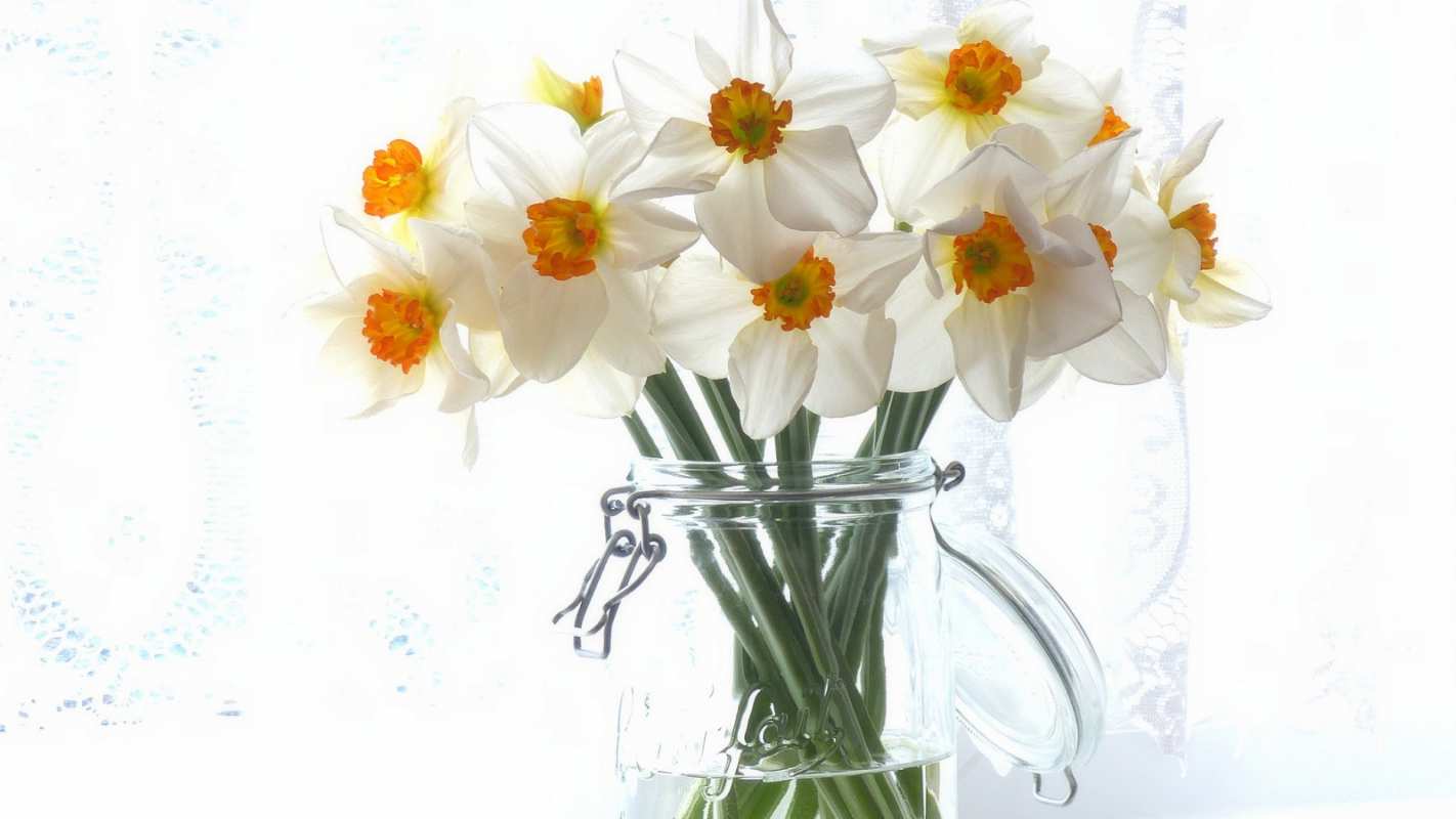 Открытка цветы в банке  с днем бухгалтера  happy accountant day 