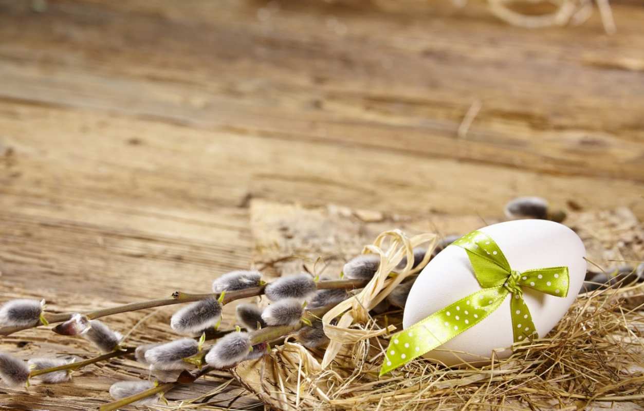 Открытка верба и яйцо с лентой  верба  Happy Palm Sunday 