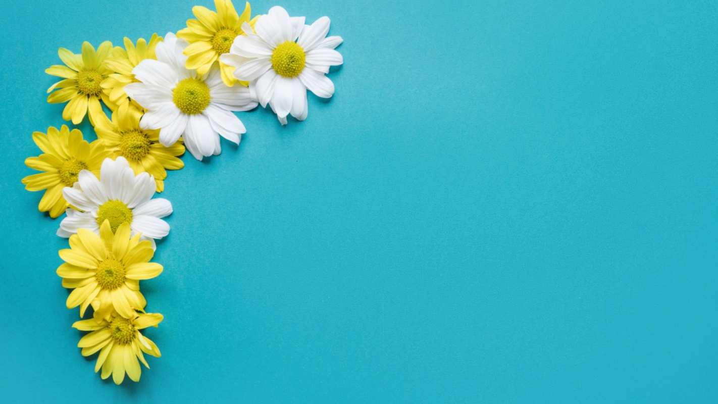 Открытка рамочка из ромашек  с днем семьи   happy family day 