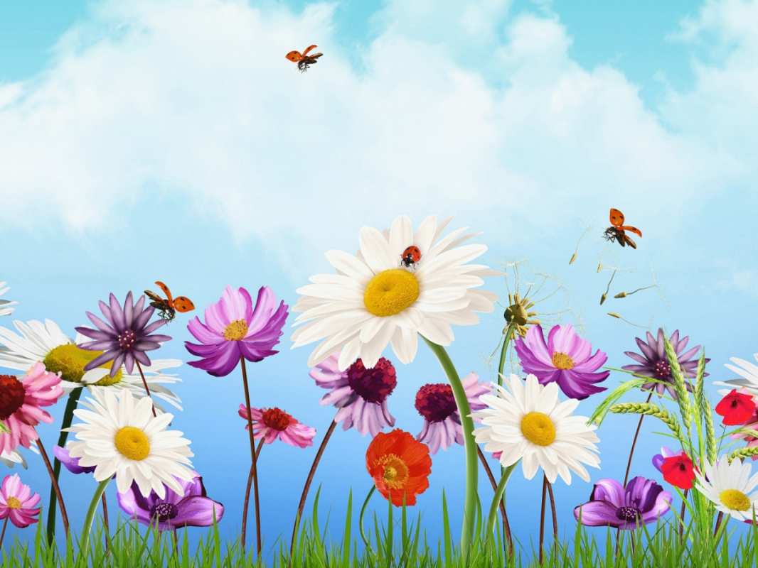 Открытка 1 мая  С 1 мая  From May 1st 