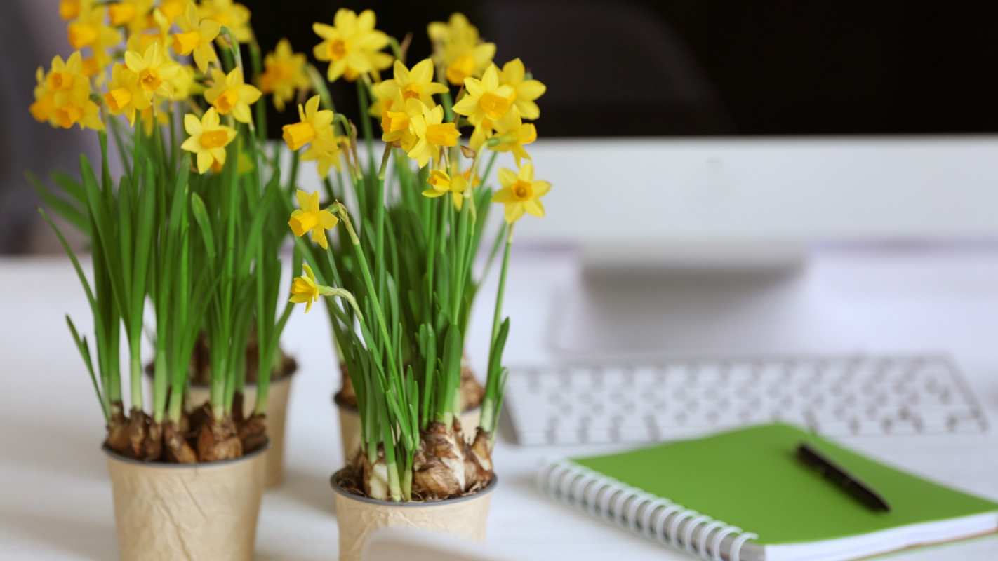 Открытка цветы и отчет  с днем бухгалтера  happy accountant day 