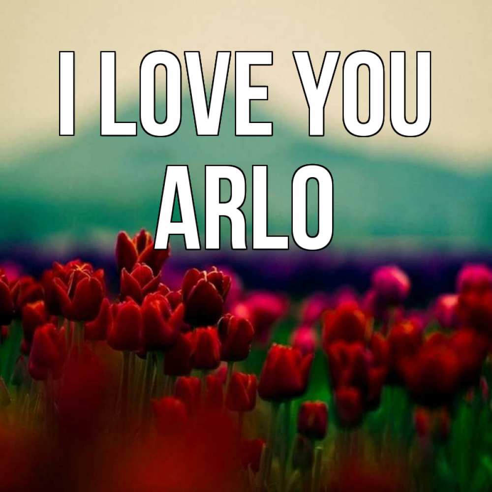 Greetings card с именем, Arlo I love you тюльпаны 4 Greetings with text for free download 
