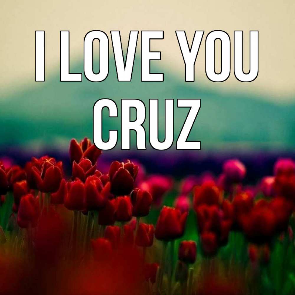Greetings card с именем, Cruz I love you тюльпаны 4 Greetings with text for free download 