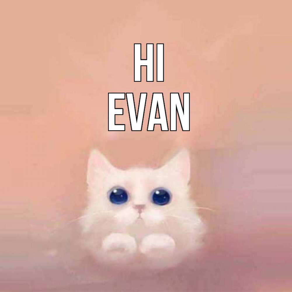 Greetings card с именем, Evan Hi котик белый в полете Greetings with text for free download 