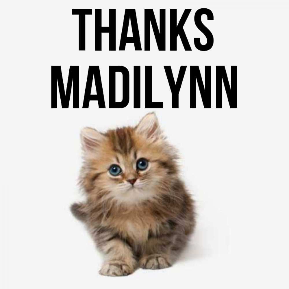 Greetings card с именем, Madilynn Thanks пушистый котик Greetings with text for free download 