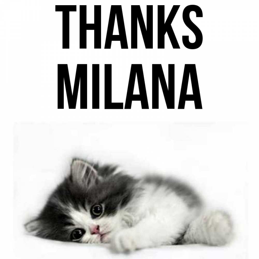 Greetings card с именем, Milana Thanks черный и белый кот Greetings with text for free download 