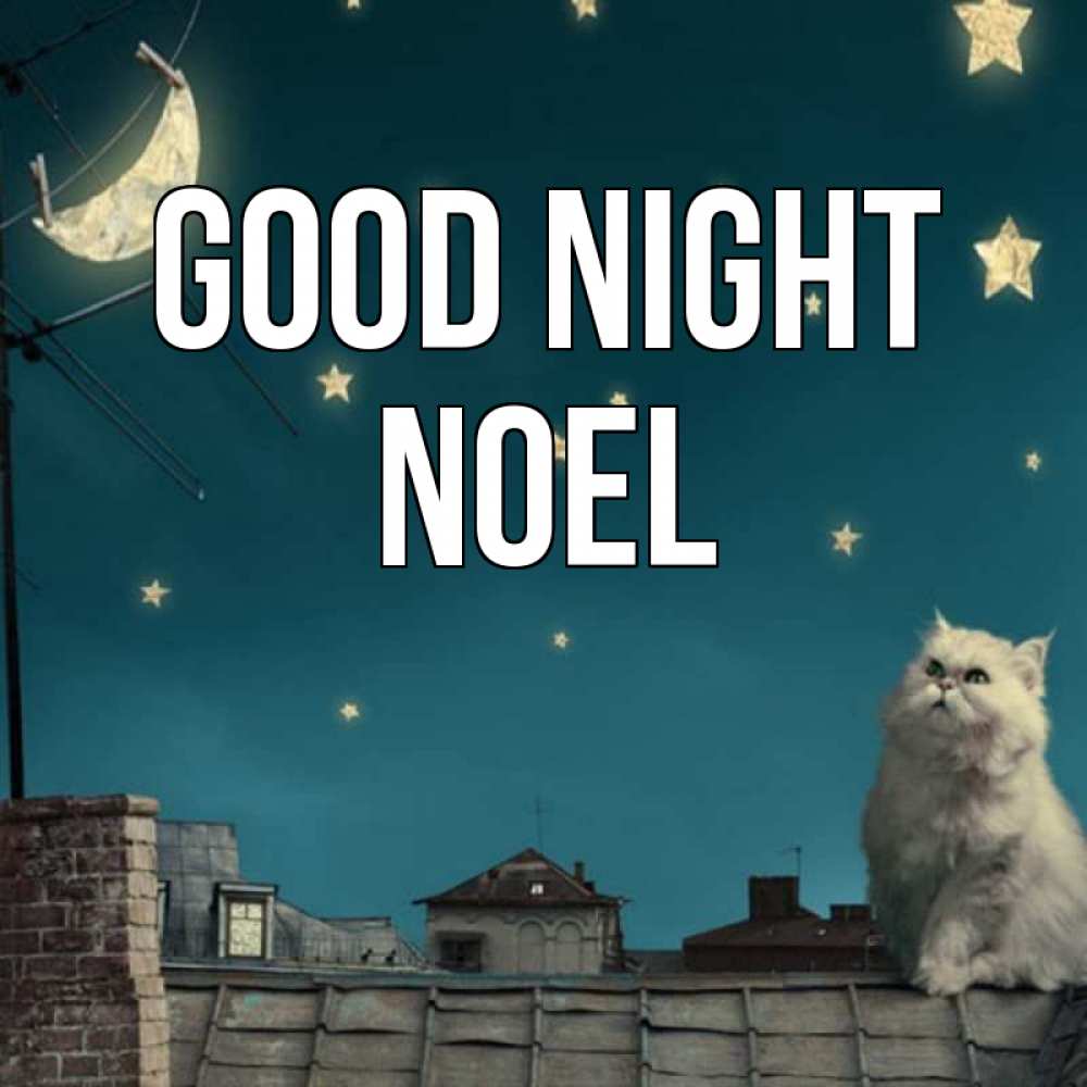 Greetings card с именем, Noel Good night белый кот сидит на крыше Greetings with text for free download 