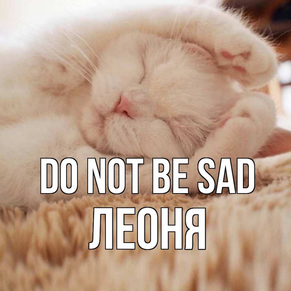Greetings card с именем, Леоня Do not be sad белый кот Greetings with text for free download 