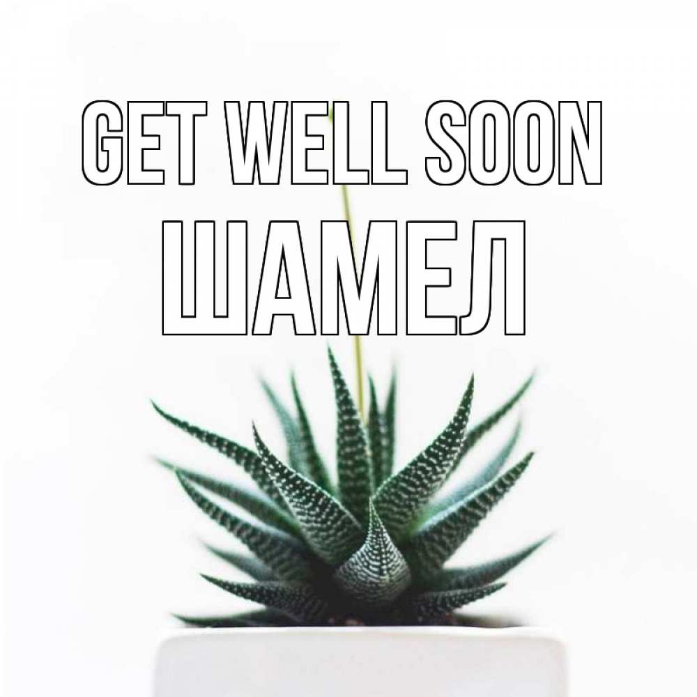 Greetings card с именем, ШАМЕЛ Get well soon короче это непонятная колючка Greetings with text for free download 