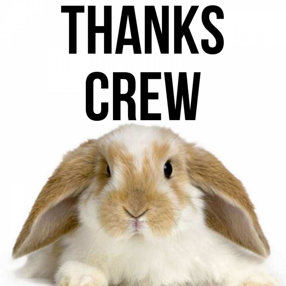 Greetings card с именем, Crew Thanks коричнево белый заяц Greetings with text for free download 
