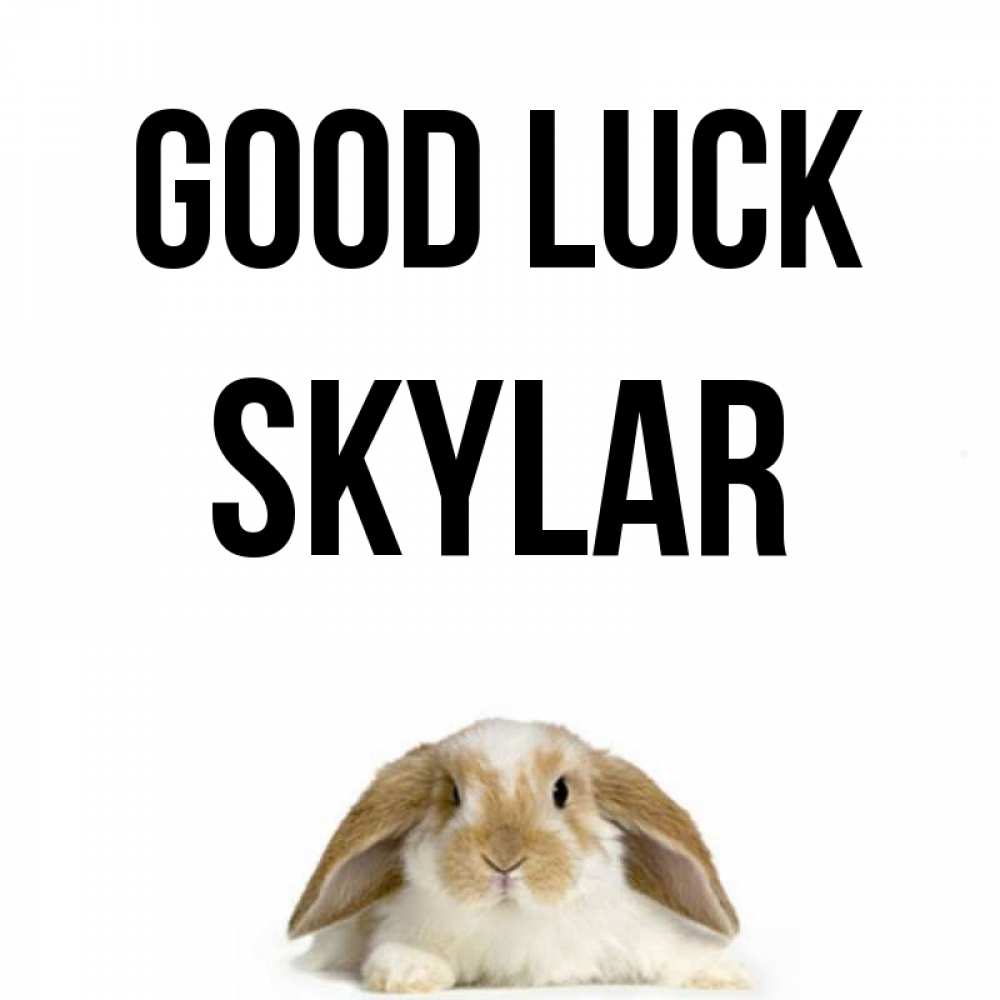 Greetings card с именем, Skylar Good luck открытки с произвольным текстом который можно вставить в открытку и создать ее самостоятельно бесплатно онлайн Greetings with text for free download 