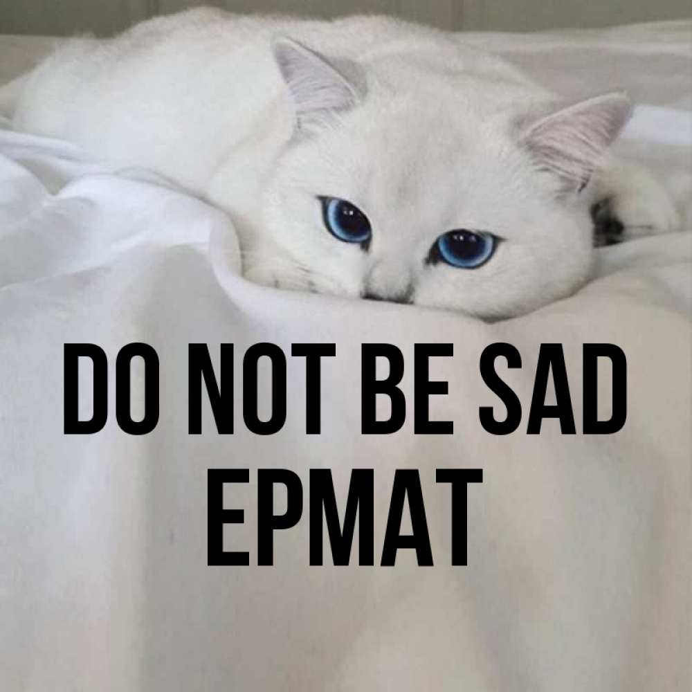 Greetings card с именем, Ермат Do not be sad Голубоглазая кошка Greetings with text for free download 