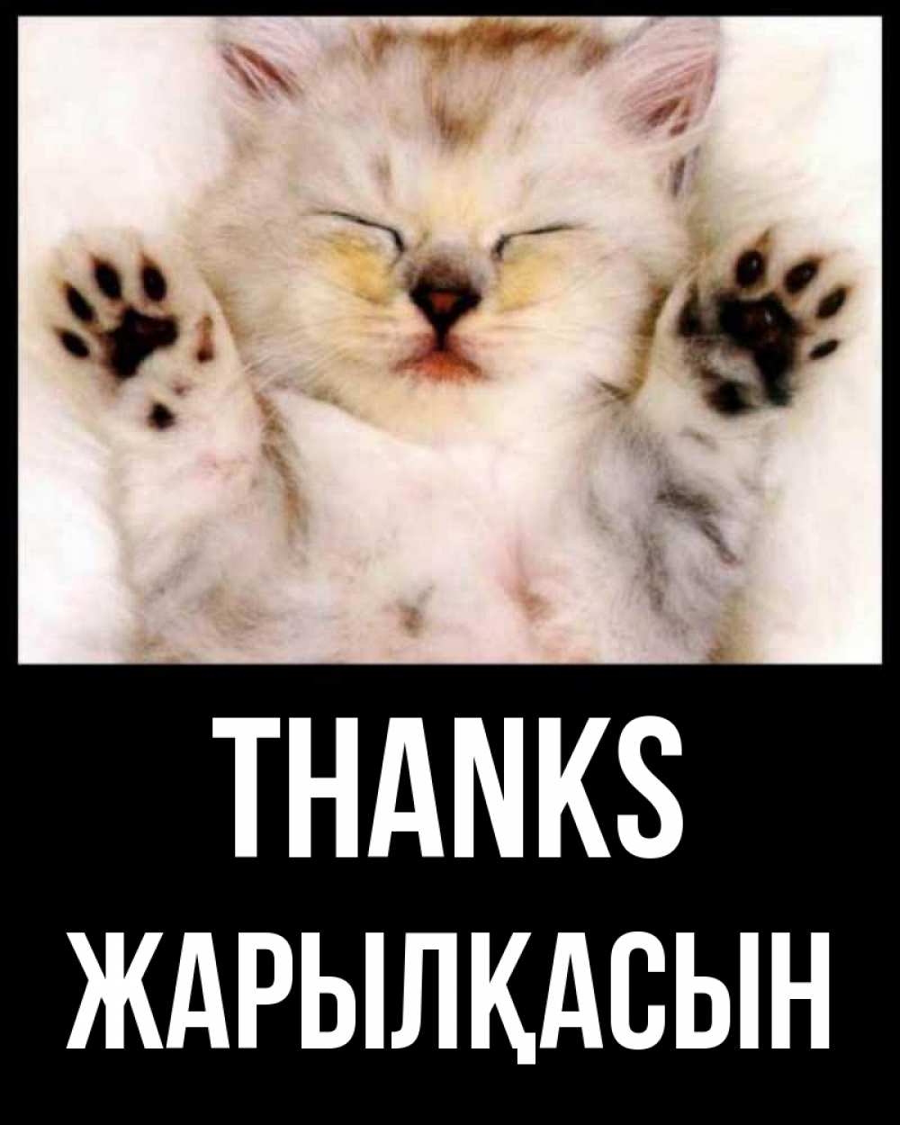 Greetings card с именем, Жарылқасын Thanks маленький котенок Greetings with text for free download 