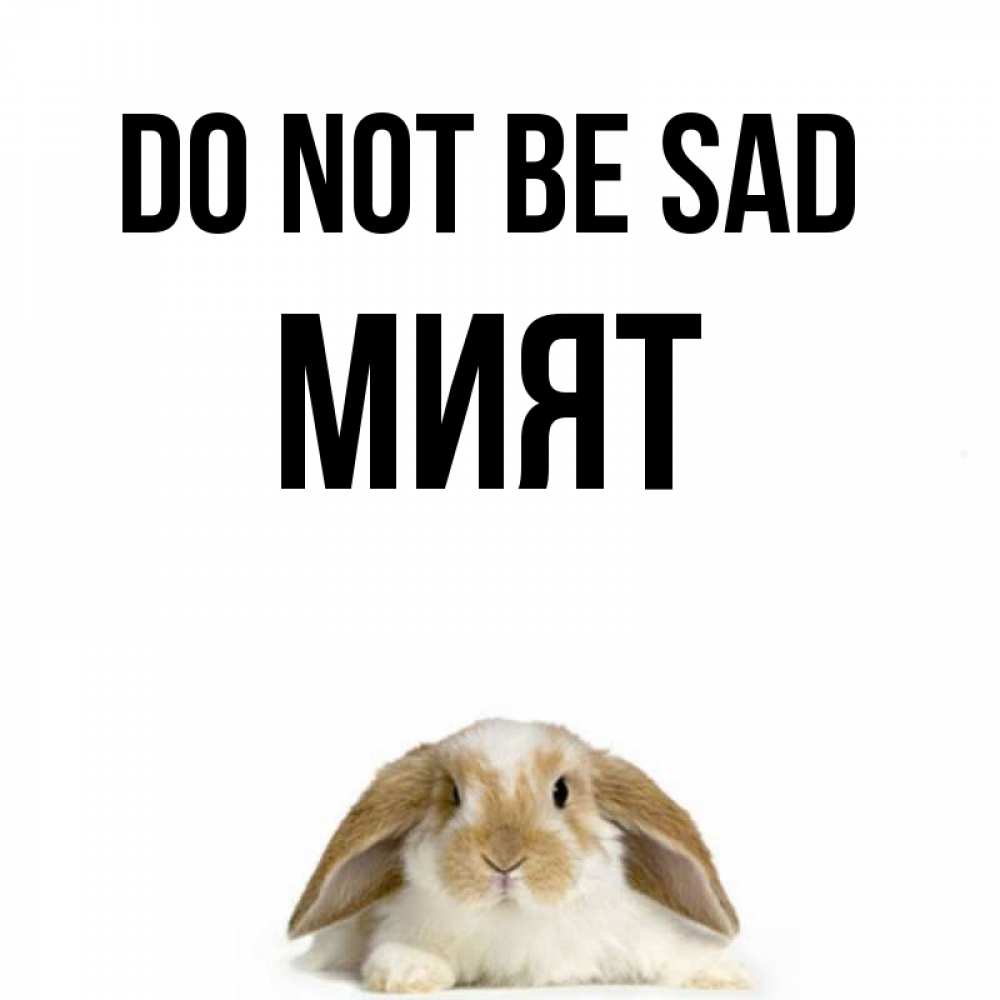Greetings card с именем, МИЯТ Do not be sad коричнево белый заяц с большими ушками Greetings with text for free download 