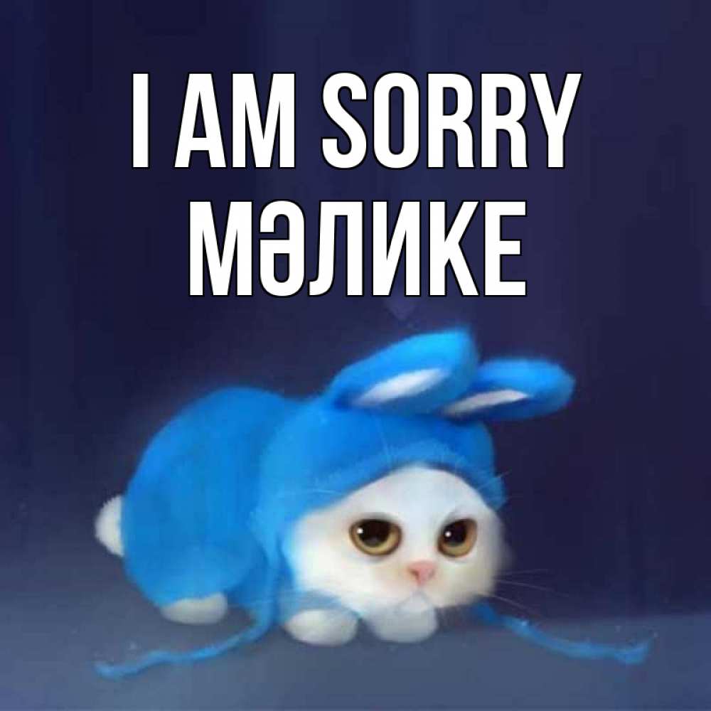 Greetings card с именем, МӘЛИКЕ I am sorry невинный котозай просит прощения Greetings with text for free download 