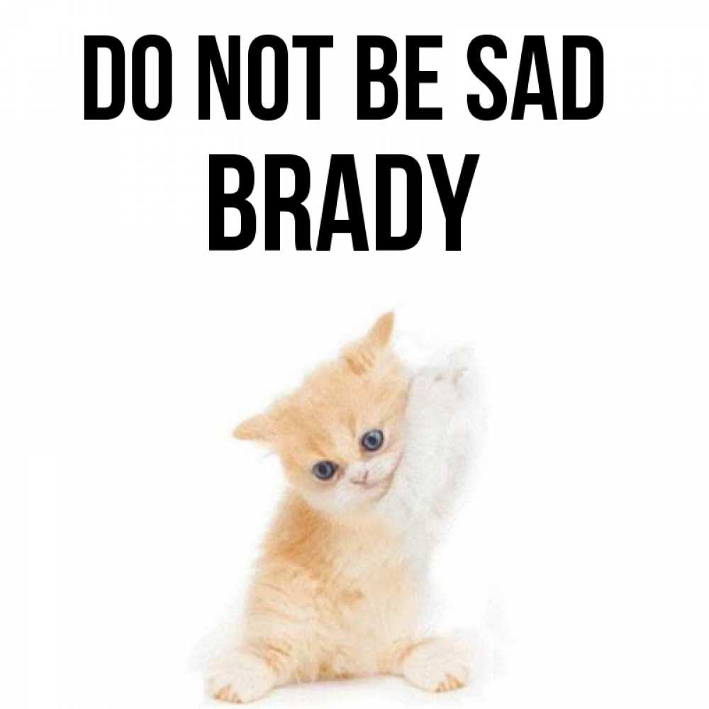 Greetings card с именем, Brady Do not be sad просящий кот Greetings with text for free download 
