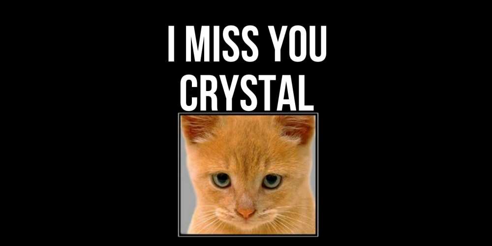 Greetings card с именем, Crystal I miss you открытки рыжий котенок скучает по тебе Greetings with text for free download 