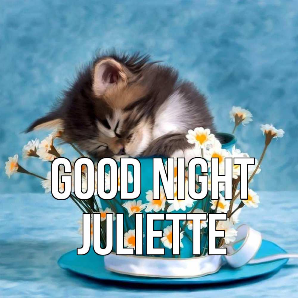 Greetings card с именем, Juliette Good night котенок спит в кружке с блюдцем Greetings with text for free download 