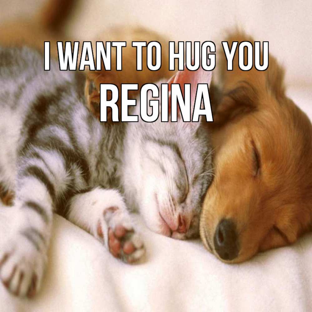Greetings card с именем, Regina I want to hug you пес и котенок Greetings with text for free download 