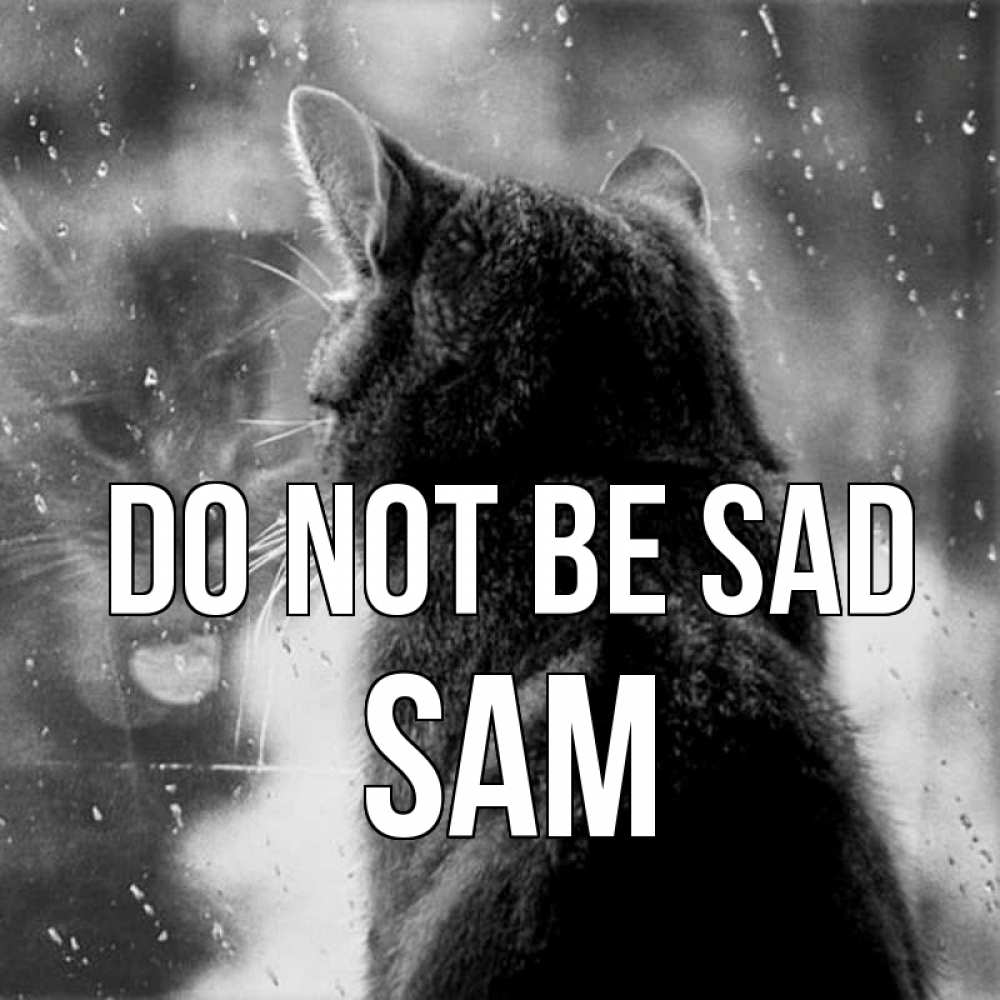 Greetings card с именем, Sam Do not be sad отражение кота 1 Greetings with text for free download 