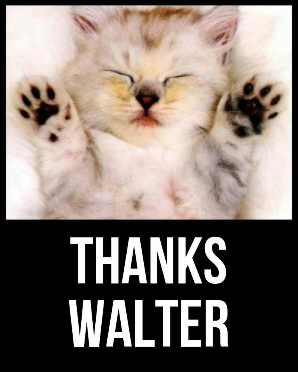 Greetings card с именем, Walter Thanks маленький котенок Greetings with text for free download 