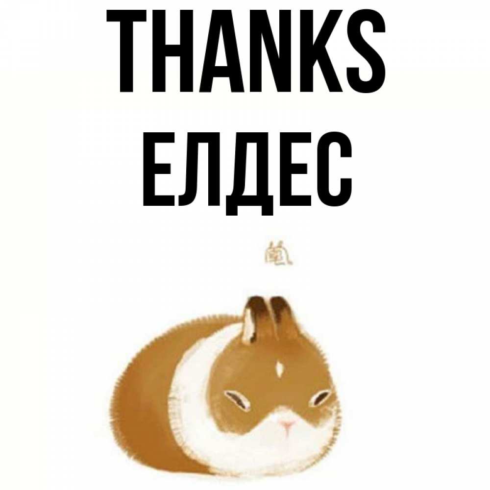 Greetings card с именем, Елдес Thanks коричнево белый домашний питомец Greetings with text for free download 