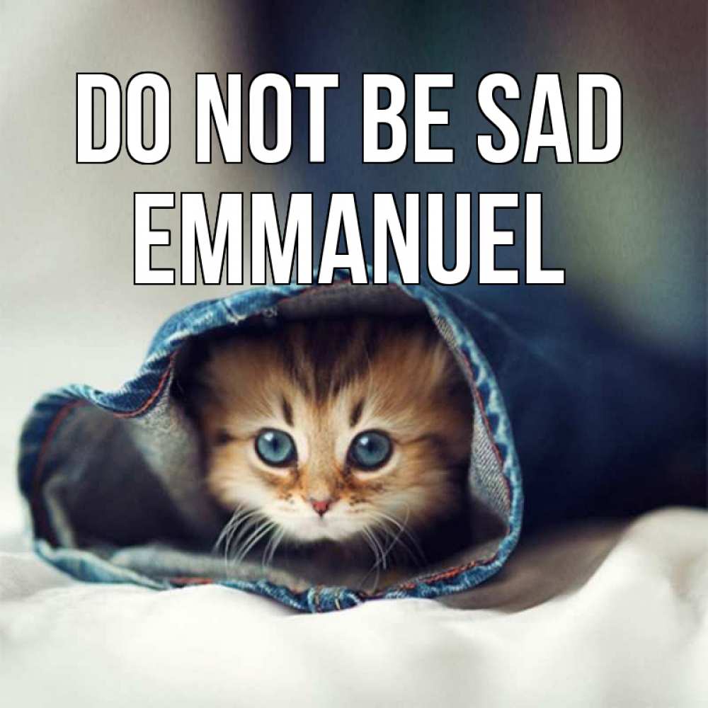 Greetings card с именем, Emmanuel Do not be sad кот в одежде Greetings with text for free download 