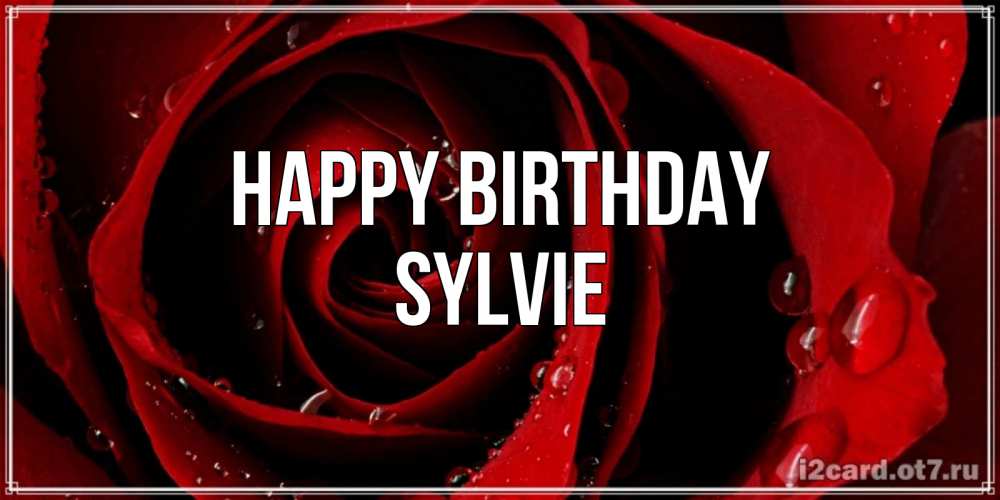 Greetings card с именем, Sylvie Happy Birthday крупная бордовая роза Greetings with text for free download 