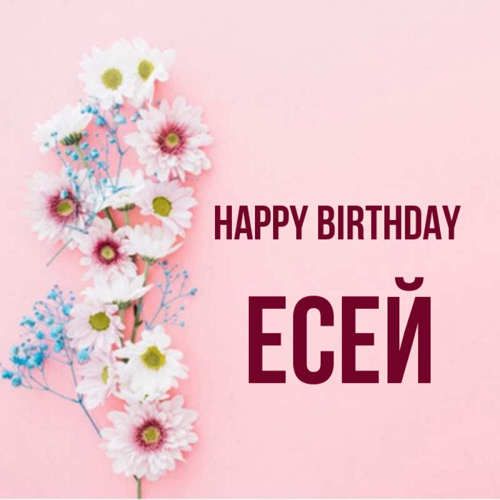 Greetings card с именем, Есей Happy Birthday Родная моя с днем рождения тебя картинка с цветами белыми и голубыми Greetings with text for free download 