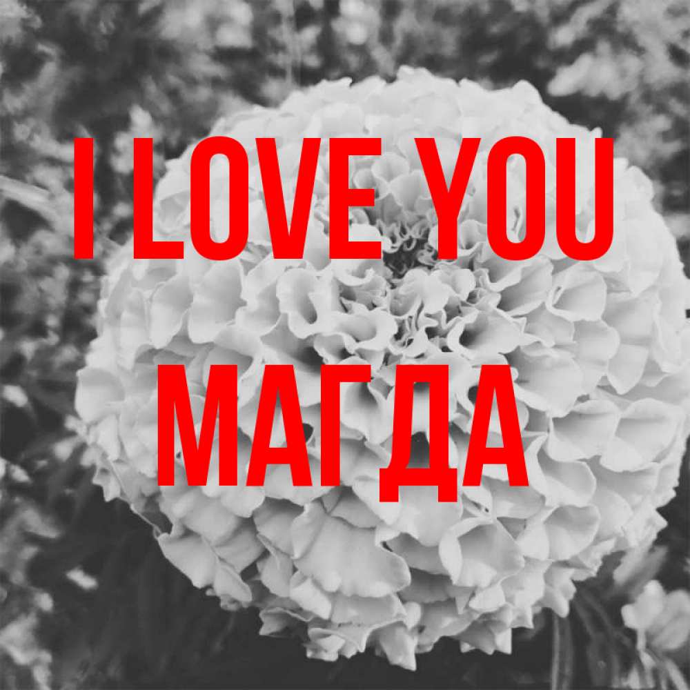 Greetings card с именем, Магда I love you подпись Greetings with text for free download 