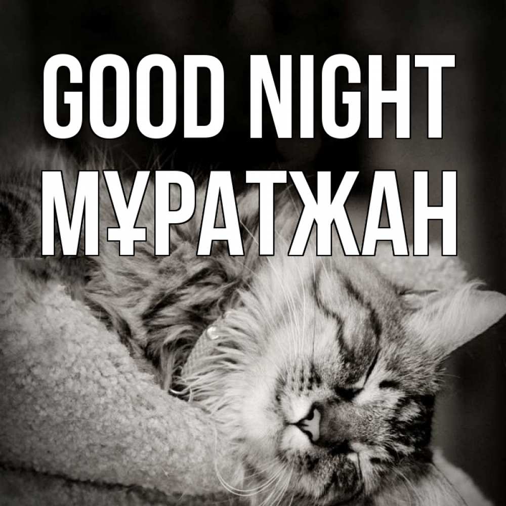 Greetings card с именем, Мұратжан Good night котярик пушистый Greetings with text for free download 