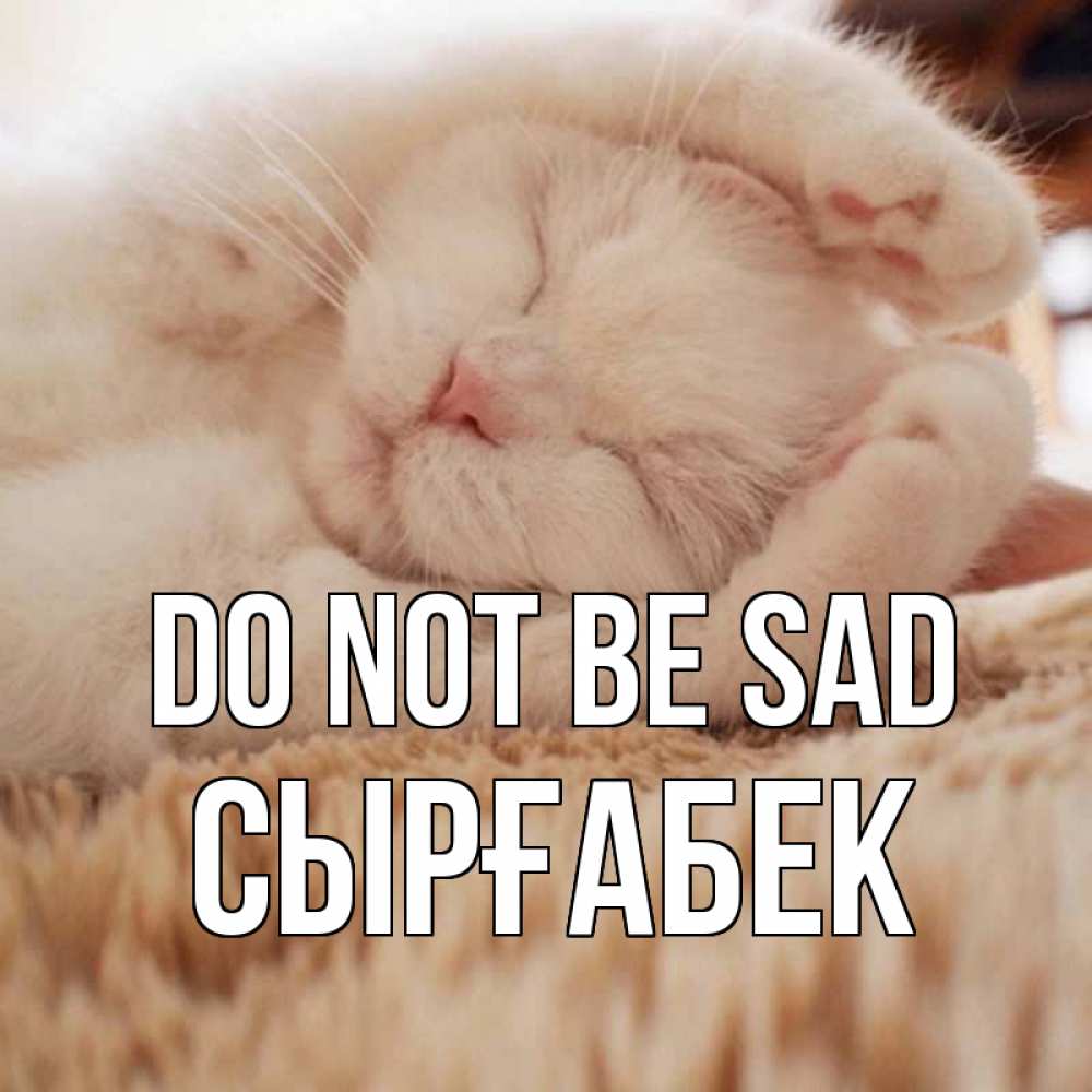 Greetings card с именем, СЫРҒАБЕК Do not be sad белый кот Greetings with text for free download 