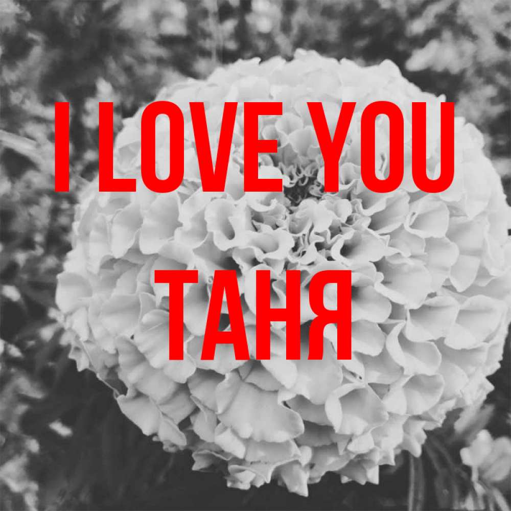 Greetings card с именем, Таня I love you подпись Greetings with text for free download 