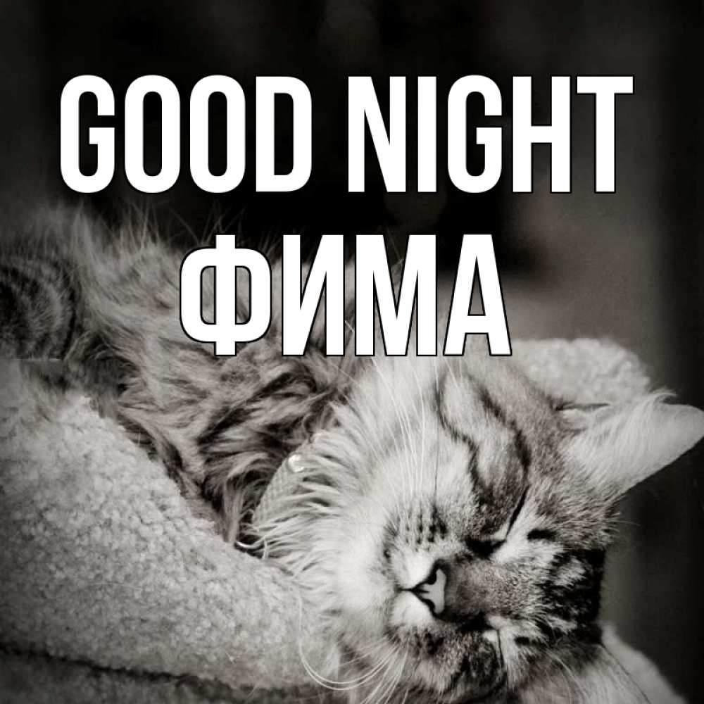 Greetings card с именем, Фима Good night котярик пушистый Greetings with text for free download 