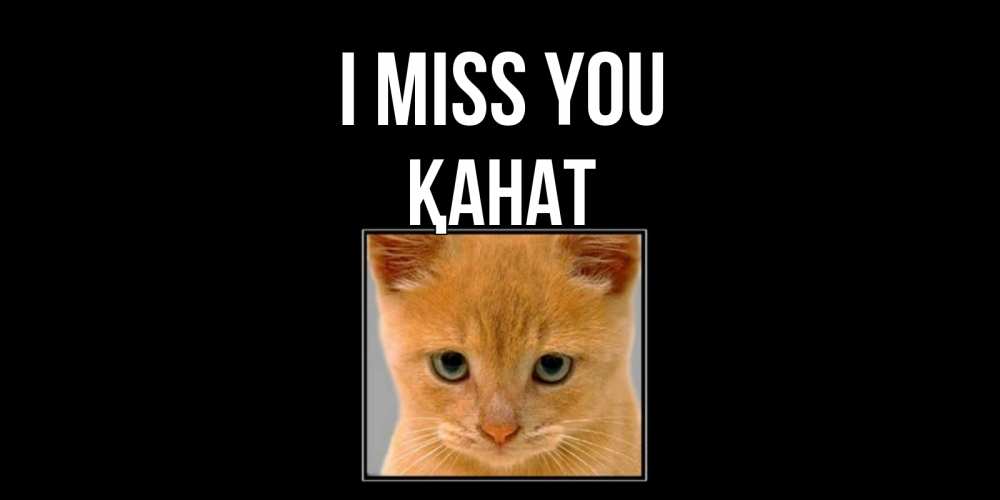 Greetings card с именем, Қанат I miss you открытки рыжий котенок скучает по тебе Greetings with text for free download 