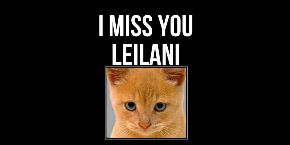Greetings card с именем, Leilani I miss you открытки рыжий котенок скучает по тебе Greetings with text for free download 