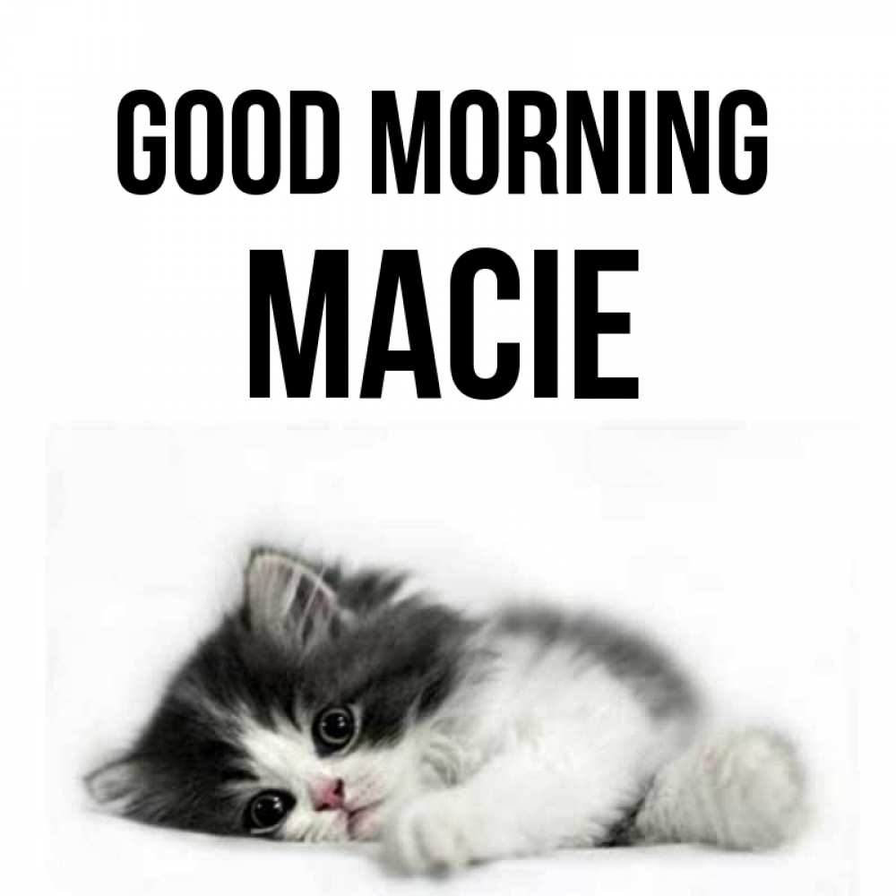 Greetings card с именем, Macie Good morning кот лапки Greetings with text for free download 
