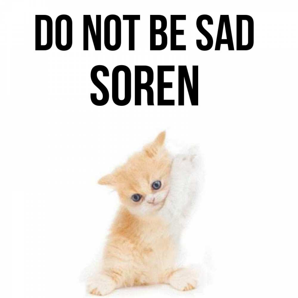Greetings card с именем, Soren Do not be sad просящий кот Greetings with text for free download 