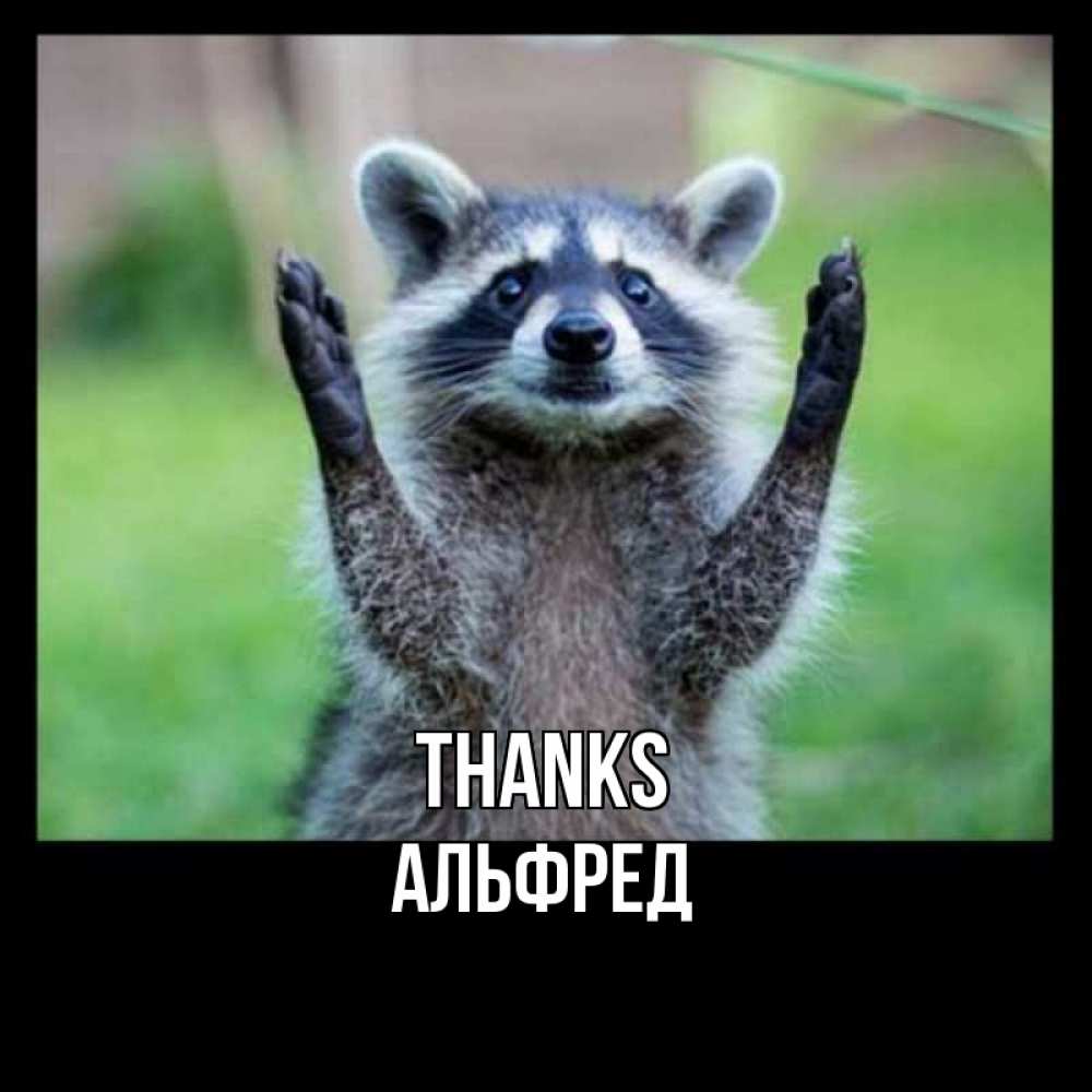 Greetings card с именем, Альфред Thanks милые животные Greetings with text for free download 