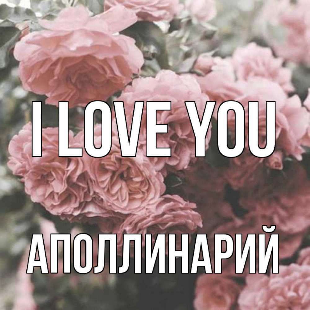 Greetings card с именем, Аполлинарий I love you розы 3 Greetings with text for free download 