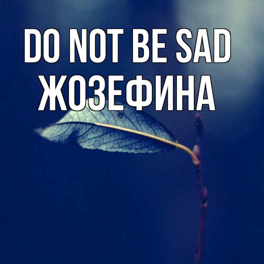 Greetings card с именем, Жозефина Do not be sad растение Greetings with text for free download 