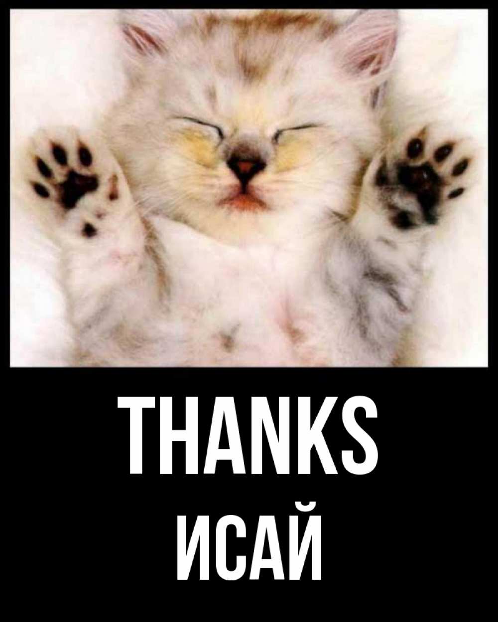 Greetings card с именем, Исай Thanks маленький котенок Greetings with text for free download 