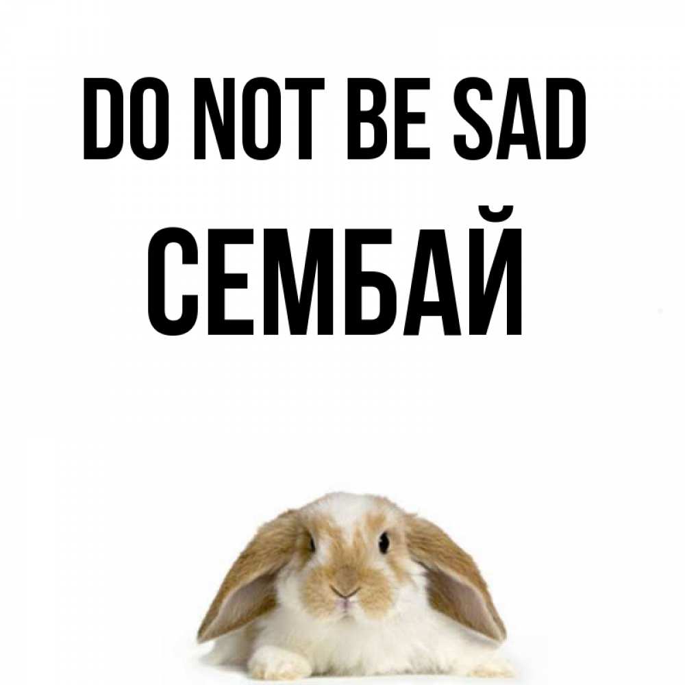 Greetings card с именем, СЕМБАЙ Do not be sad коричнево белый заяц с большими ушками Greetings with text for free download 