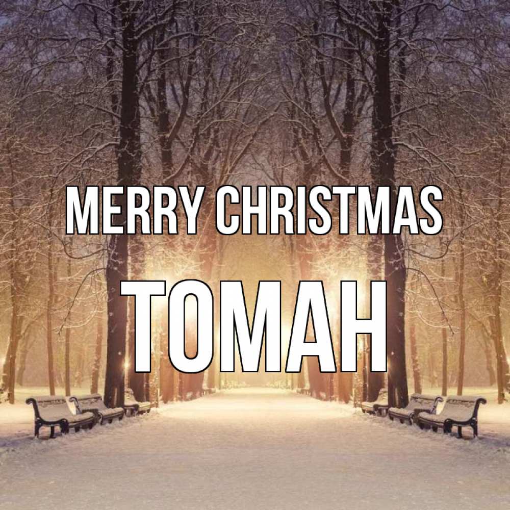 Greetings card с именем, ТОМАН Merry Christmas зима, парк, фонарь, лес Greetings with text for free download 