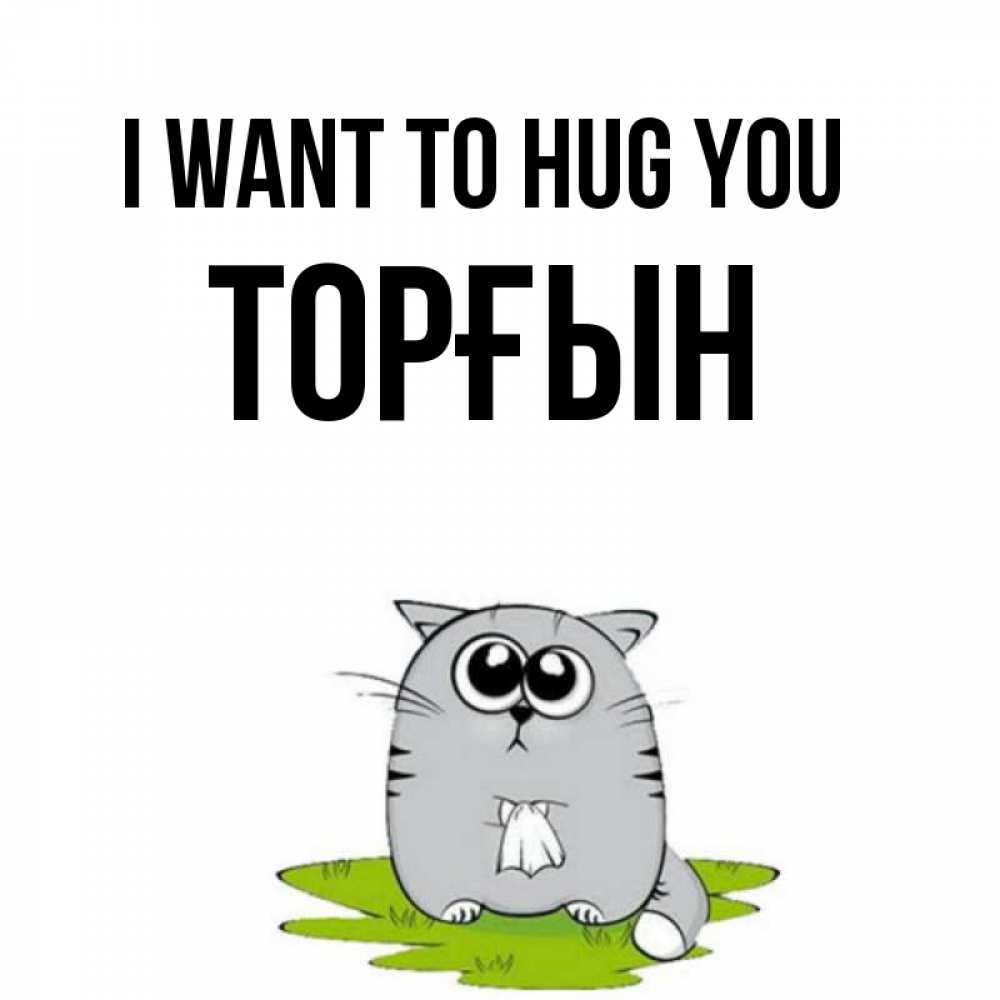 Greetings card с именем, ТОРҒЫН I want to hug you котик теребит платочек сидя на травке Greetings with text for free download 