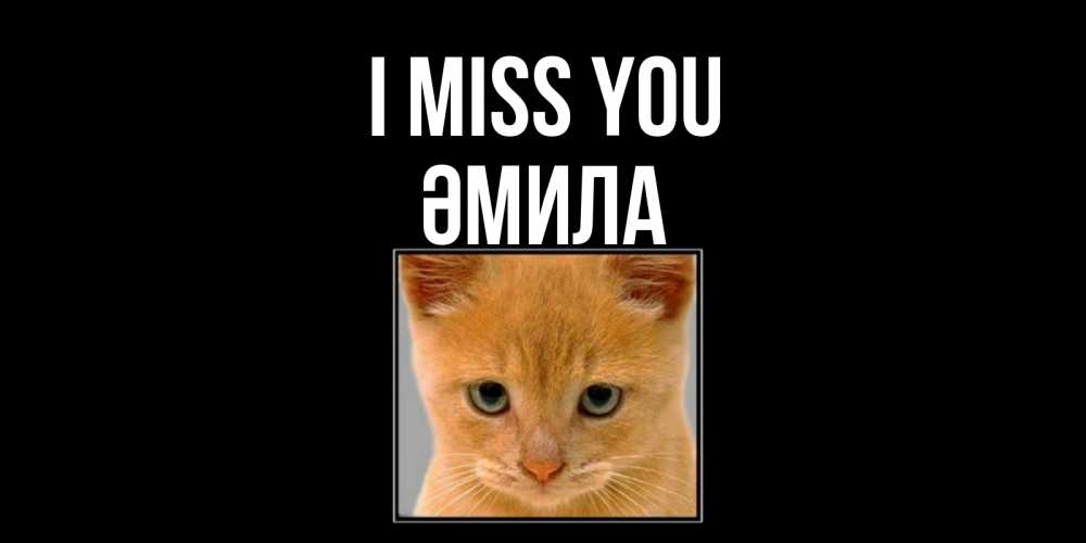 Greetings card с именем, ӘМИЛА I miss you открытки рыжий котенок скучает по тебе Greetings with text for free download 