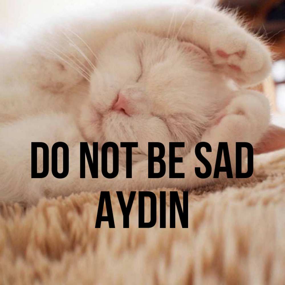 Greetings card с именем, Aydin Do not be sad Котенок спит Greetings with text for free download 