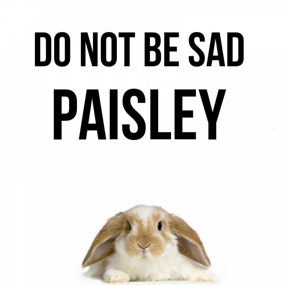 Greetings card с именем, Paisley Do not be sad коричнево белый заяц с большими ушками Greetings with text for free download 